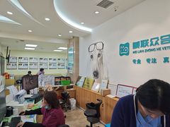 -美联众合动物医院·24h转诊中心
