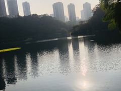 -重庆彩云湖湿地公园