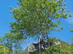 -秦岭终南山世界地质公园翠华山景区