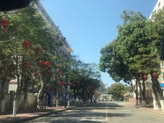 -厦门大学(思明校区)
