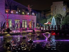 -上海崇明金茂凯悦酒店