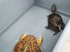 -华声天桥民俗文化园