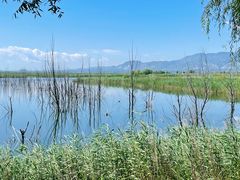 -野鸭湖国家湿地公园