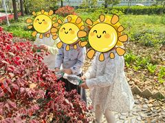 -豆初托育园 Baby Bean Day care Center