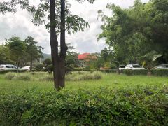 -大屏嶂森林公园