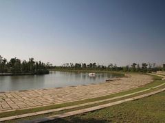 -宁波杭州湾国家湿地公园