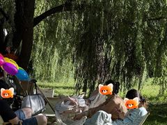 -长白岛森林公园