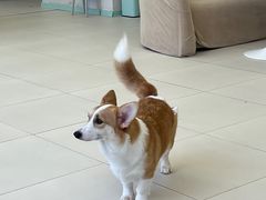 -怪兽屋·羊驼·猫咖·狗咖(俊华广场店)