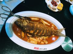 -阿五黄河大鲤鱼(英协路店)