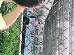-杭州市陈经纶体育学校