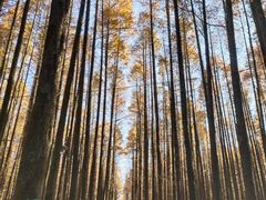 -山王坪喀斯特国家生态公园