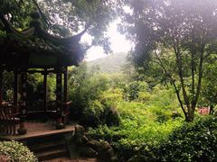 -杭州西湖风景名胜区-三生石