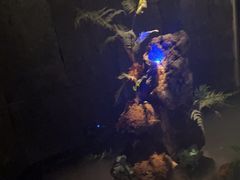 -泰之源足浴会所(玉环店)
