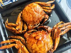 -松哥油焖大虾(皇岗一店)