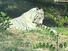 -秦皇岛野生动物园