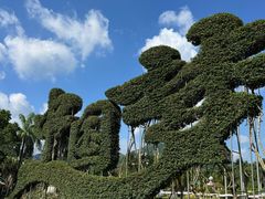 -东南花都花博园