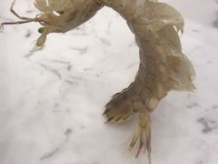 -澜悦港海鲜体验主题餐厅