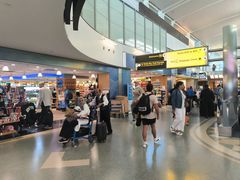 -约翰·菲茨杰拉德·肯尼迪国际机场