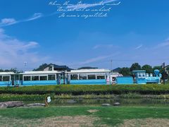 -径山花海