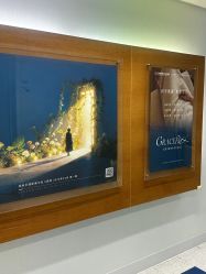 -杭州贝瑞斯美华妇儿医院·早孕·产检·儿科