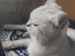 -不舍昼夜咖啡馆