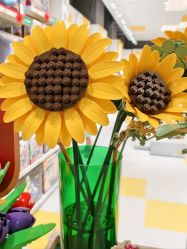 -乐高授权专卖店(岭南站NOVA店)