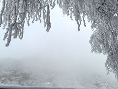 -秦岭终南山世界地质公园翠华山景区