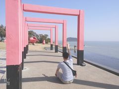 -漳州滨海火山岛自然生态风景区