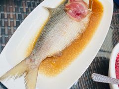 清蒸鲥鱼-走马楼饭庄(慈城古县城店)