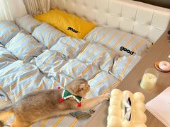 -住范儿家装·整体家装·装修设计