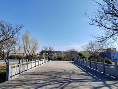 -羊山湖公园