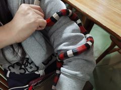 -藦茜花园宠物主题亲子互动体验馆(国顺东路店)