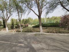 -丁香湖公园