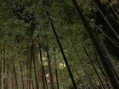 进门后的竹林-穹六人间 people 6(岳阳路店)