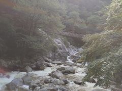 -青峰峡国家森林公园