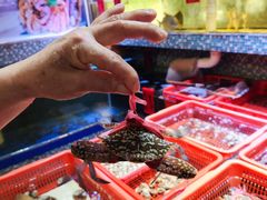 -巽寮印象美食部落餐厅·海鲜·地方特色菜(惠州体验店)