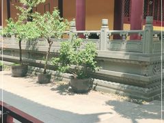 -太平禅寺