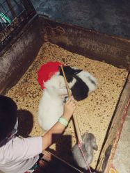 -酷嗒动物文化乐园(cutezoo西溪乐天城店)