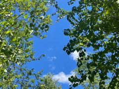 -玉渡山自然风景区