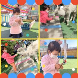 -萌宠亲子动物乐园(槐房万达店)