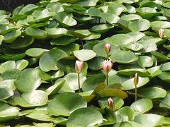 -杭州城北体育公园