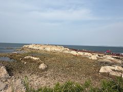 -养马岛旅游度假区