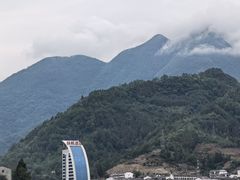 -后柳水乡