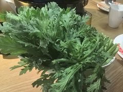 -邹开喜·炭炉鸡煲·海鲜火锅(虹口足球场店)