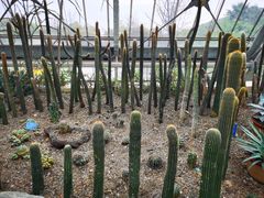 -南山植物园