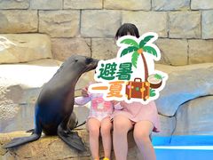 -三亚亚特兰蒂斯度假区