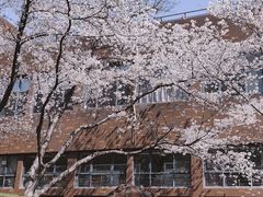 -浙江大学(玉泉校区)