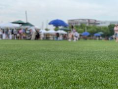 -上海惠灵顿外籍人员子女学校