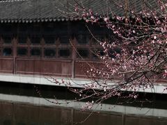 -艺圃