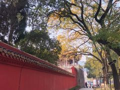 -南岳衡山风景名胜区